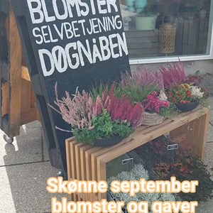 Opslagsbillede