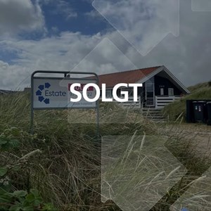 Opslagsbillede