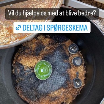 Opslagsbillede