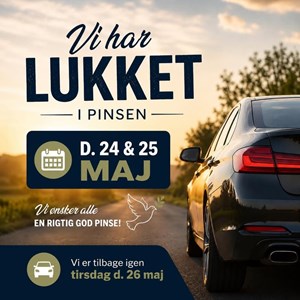 Opslagsbillede