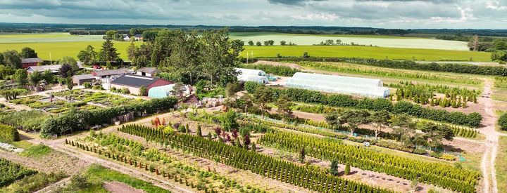 Det nyeste på Hobros opslagstavle