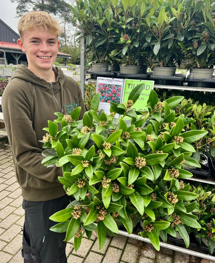 En finger på pulsen i Sæby