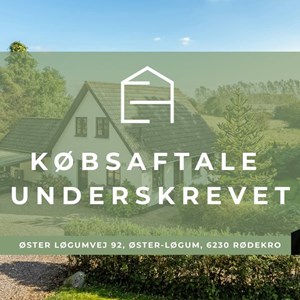 Opslagsbillede