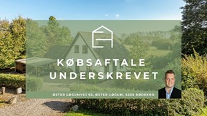 opslagsbillede