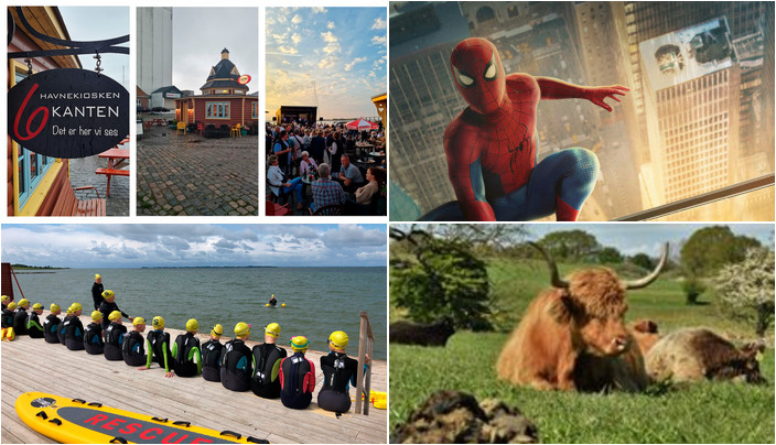 Oplev Rudkøbing den kommende weekend: Musik, film og naturoplevelser