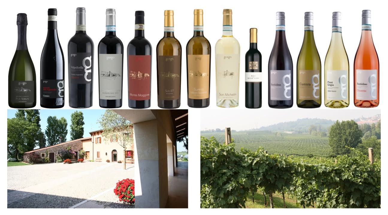Lahvino Wine & Spirits præsenterer nye vine fra Gorgo i Custoza