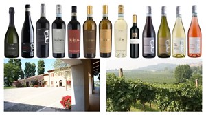 Lahvino Wine & Spirits præsenterer nye økologiske vine fra Gorgo vingård i Custoza