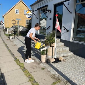 Opslagsbillede