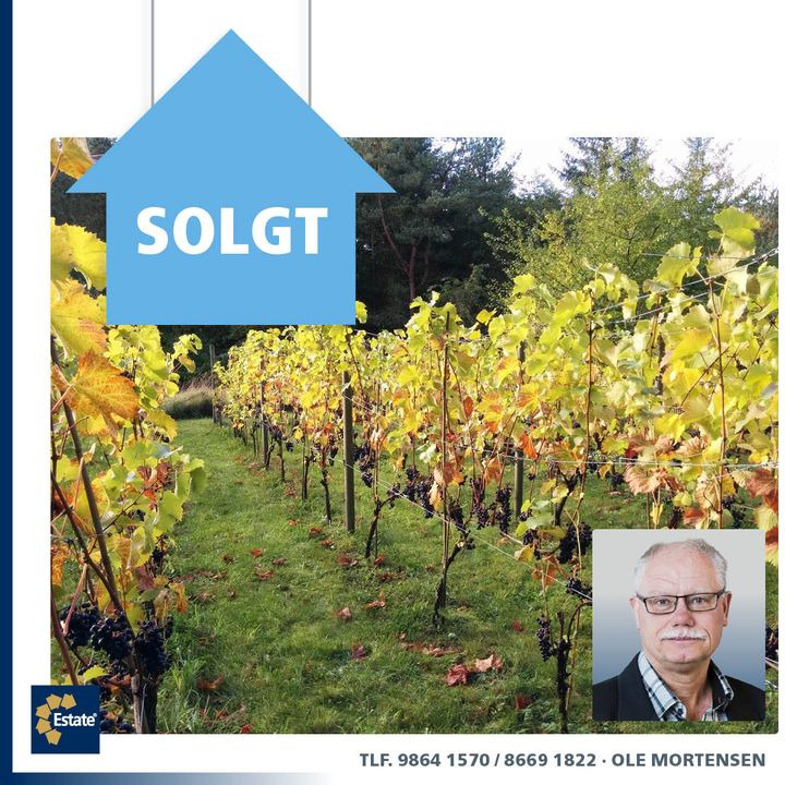 En finger på pulsen i Møldrup