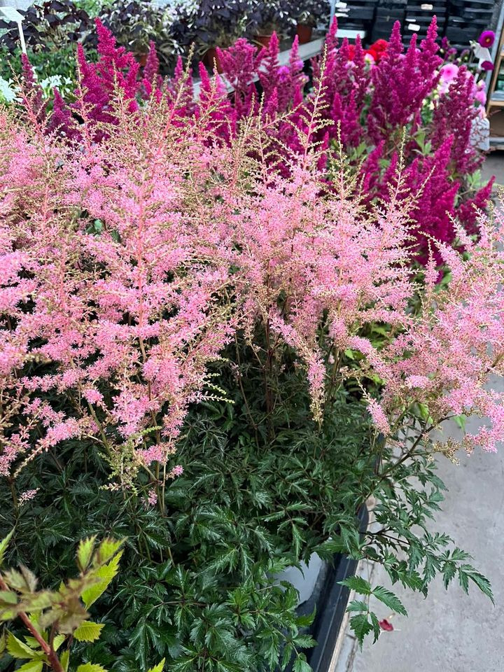 Opdatér dig her: Det nyeste fra Horsens