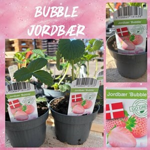 Opslagsbillede