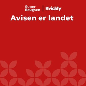 Opslagsbillede