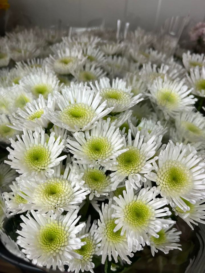 Det nyeste på Hedensteds opslagstavle