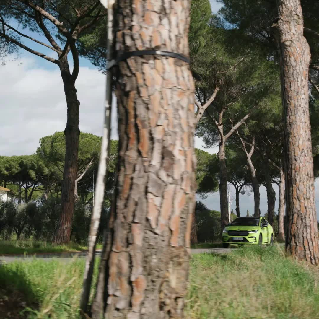 En finger på pulsen i Viborg