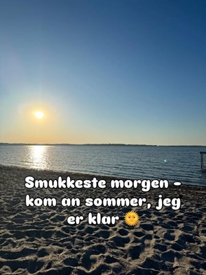 opslagsbillede