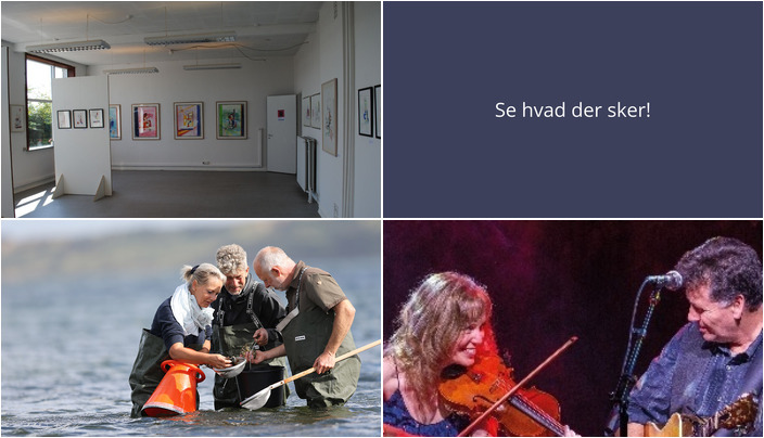 Kultur og kulinariske oplevelser: Dette kan du opleve i Thyholm denne weekend