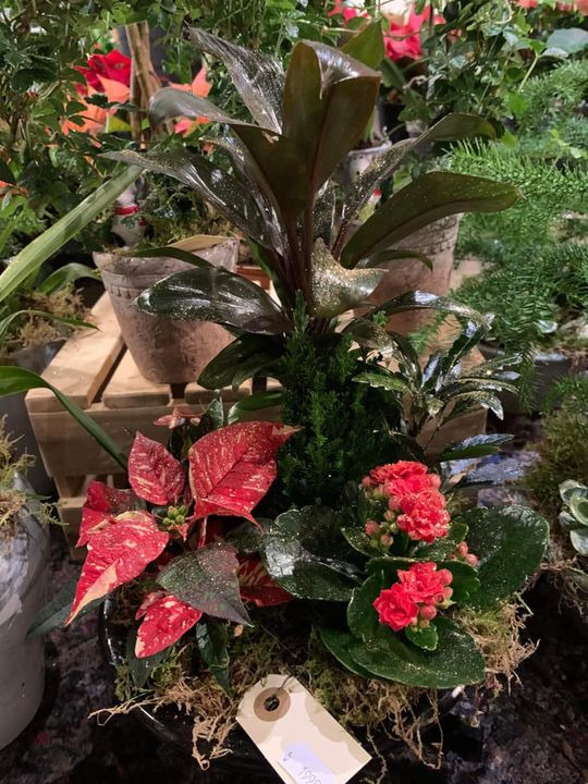 Opslagstavlen: Nyeste opdateringer fra Brønderslev