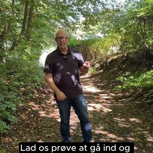 Opslagsbillede