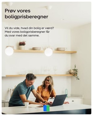 opslagsbillede