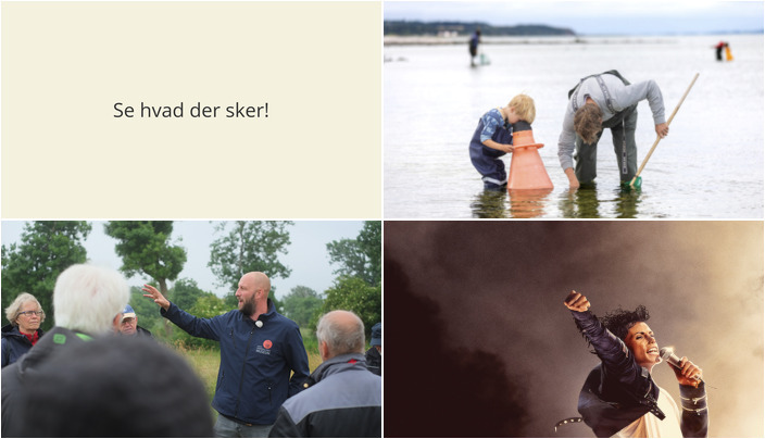 Fjordekspedition og vikingeomvisning i Løgstør - Opdag hvad næste uge bringer