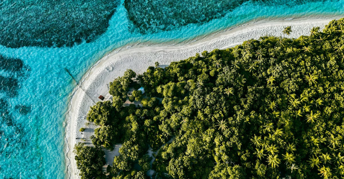 Oplev luksus og naturens skønhed med rejser til Maldiverne