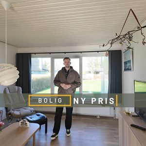 Opslagsbillede