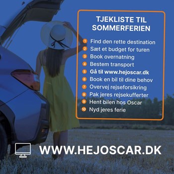 Opslagsbillede