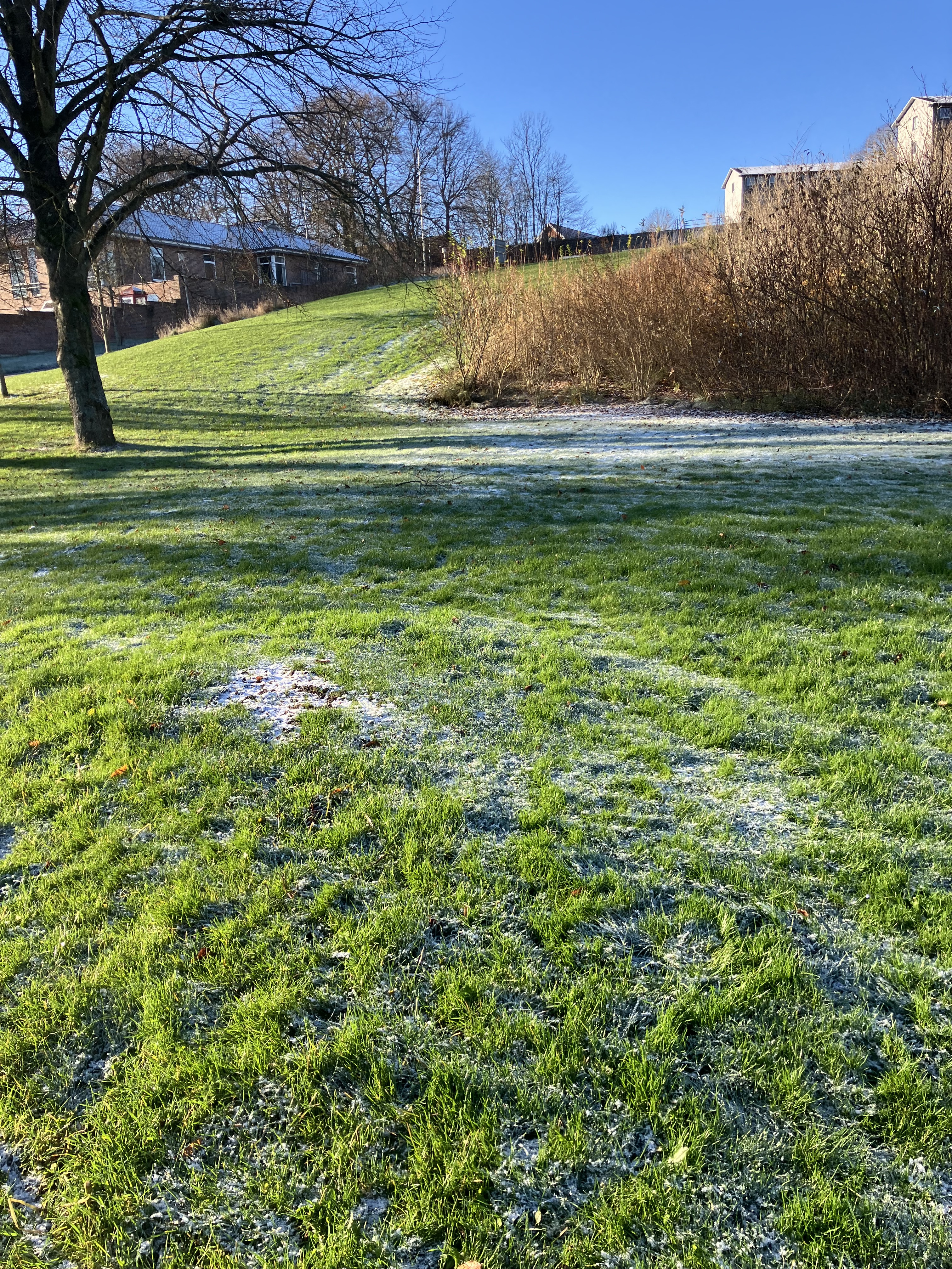 Juleafslutning med gå-gruppen Viborg