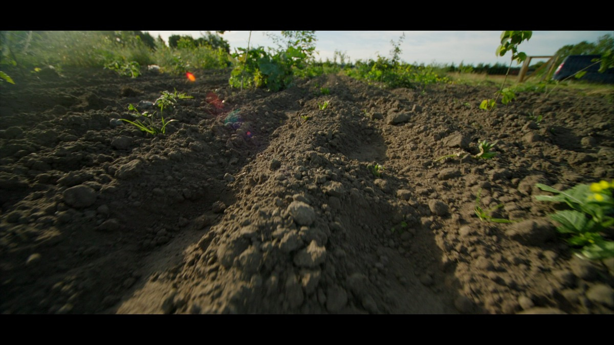 Opslagstavlen: Nyeste opdateringer fra Hammel