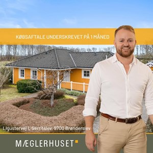 Opslagsbillede