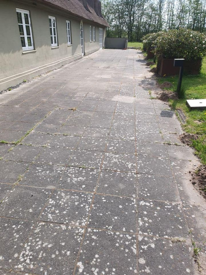 Det nyeste på Ikasts opslagstavle