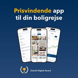 Opslagsbillede