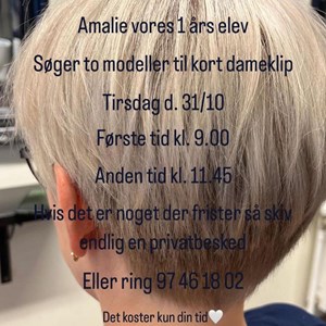 Opslagsbillede