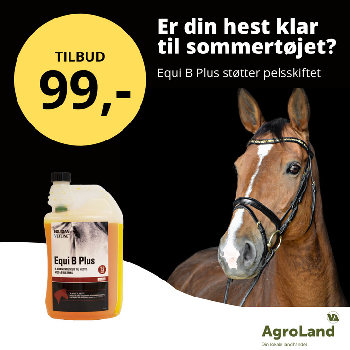 Nyt på opslagstavlen i Herning