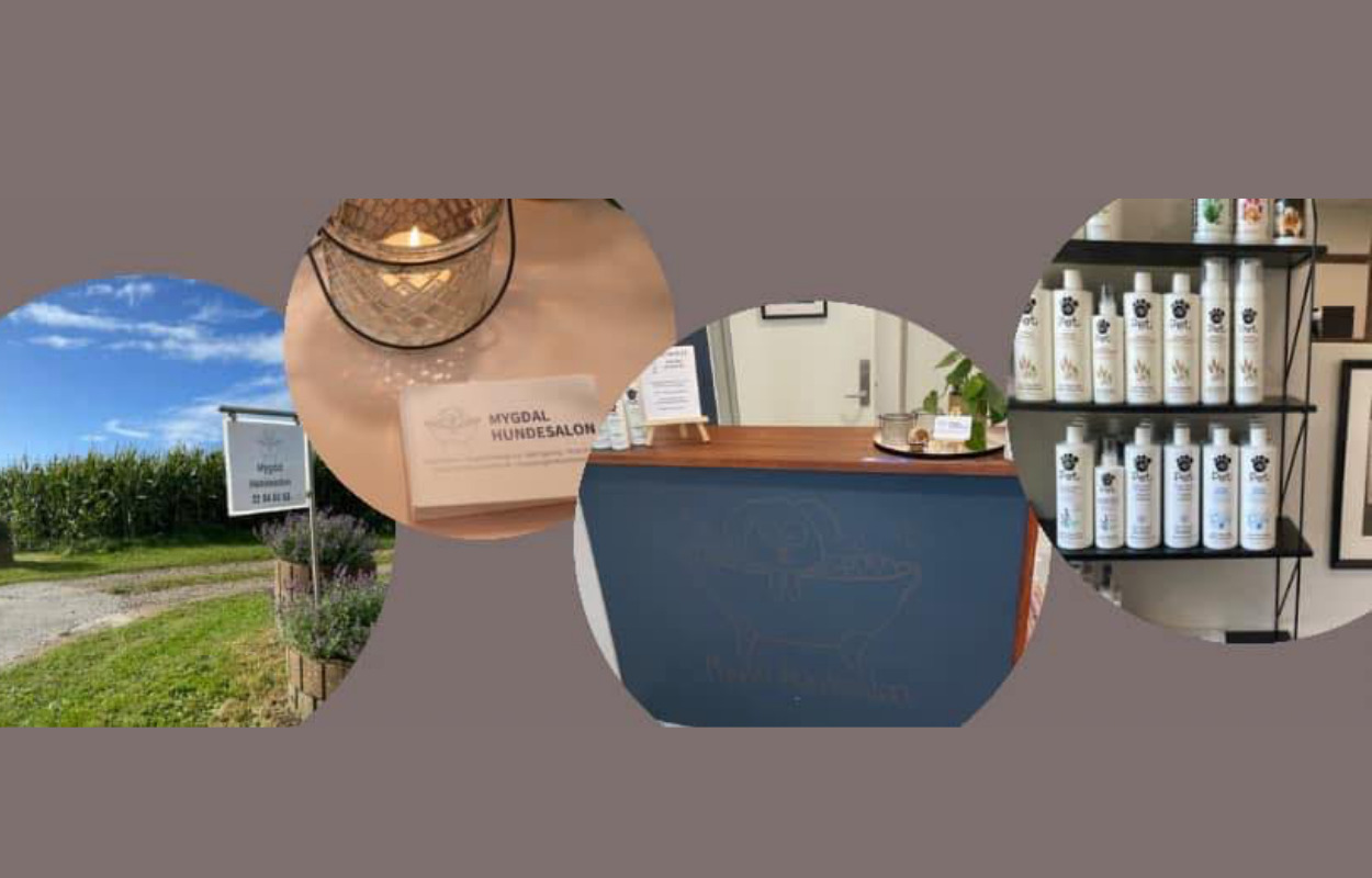 Hold trit med lokalområdet: Nyt fra Hjørring