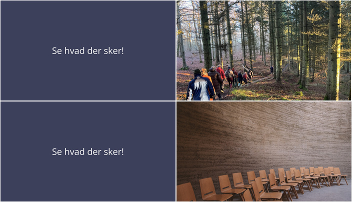 Udforsk stilheden i skoven eller dyk ned i et livsrejse-foredrag i Hornsyld