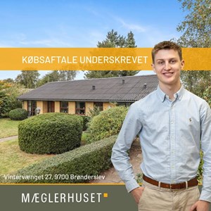 Opslagsbillede