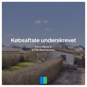opslagsbillede