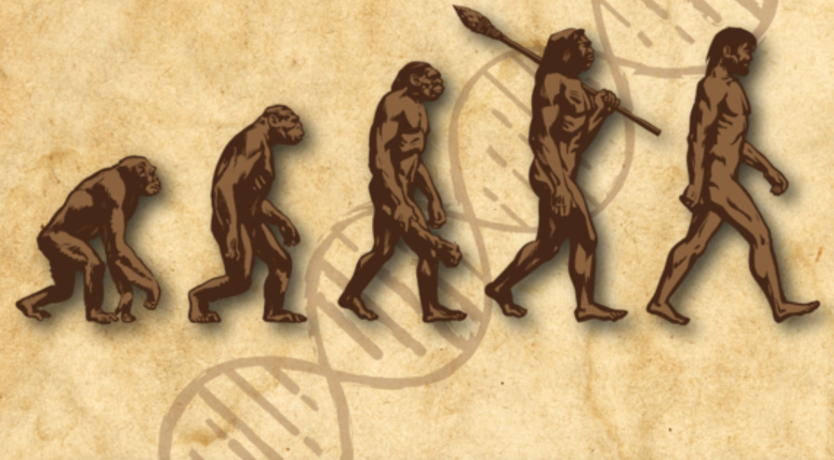 Tilblivelsen af det moderne menneske (via livestream fra Aarhus Universitet)