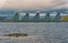 Vejles Klimapris: fire borgere er nomineret til ny pris