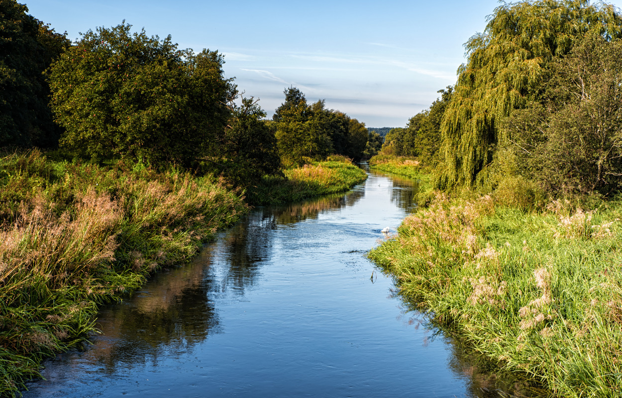 Borgerne gav deres drømme og ønsker til fremtidens kommune