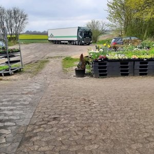 Opslagsbillede