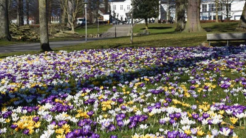 Nyd en forårstur med Dansk Vandrelaug i Horsens