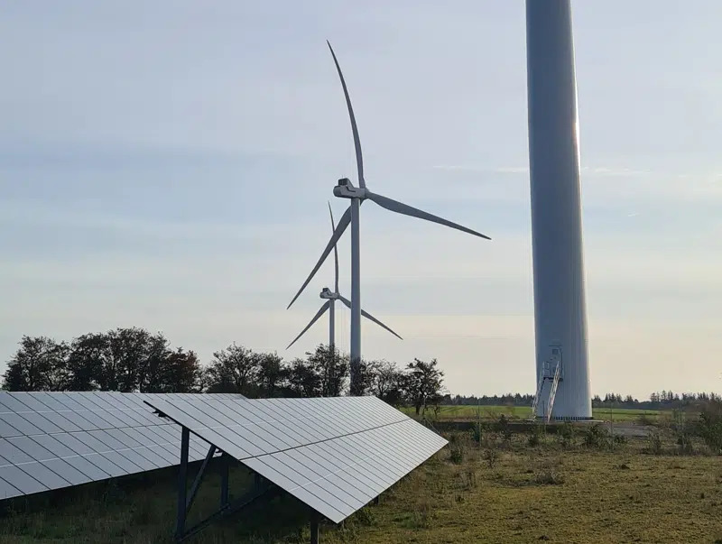 Grøn pulje fra Energipark Marsvinslund støtter lokale miljøprojekter i Silkeborg