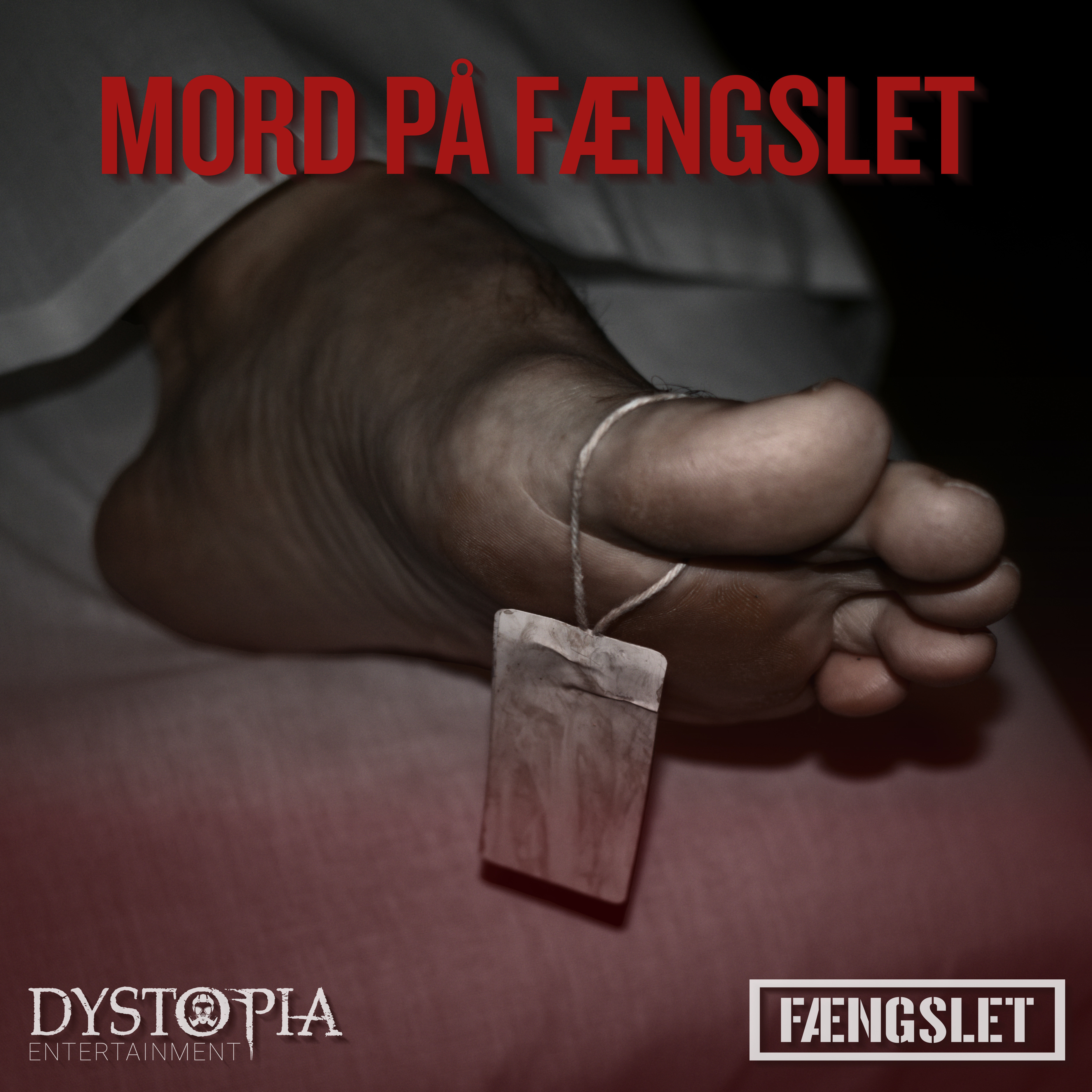 Mordmysterium på FÆNGSLET: Kan du opklare forbrydelsen?