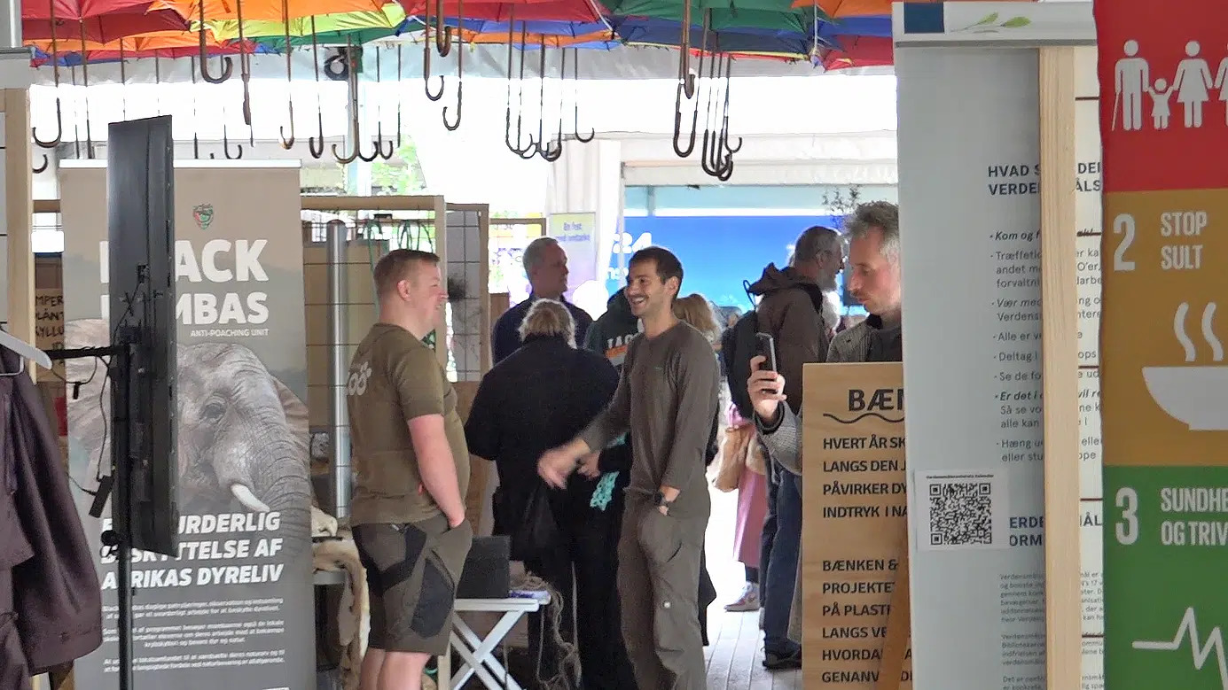 Bæredygtighedsfestivalen i Aalborg vender tilbage i 2025 med fokus på grønne initiativer