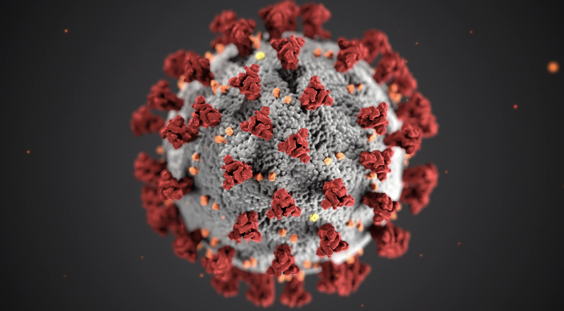 Ishøj Kommune vil lave corona-kampagner