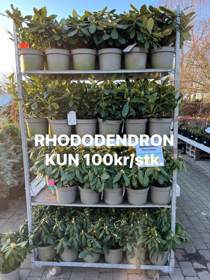 Det nyeste på Odders opslagstavle