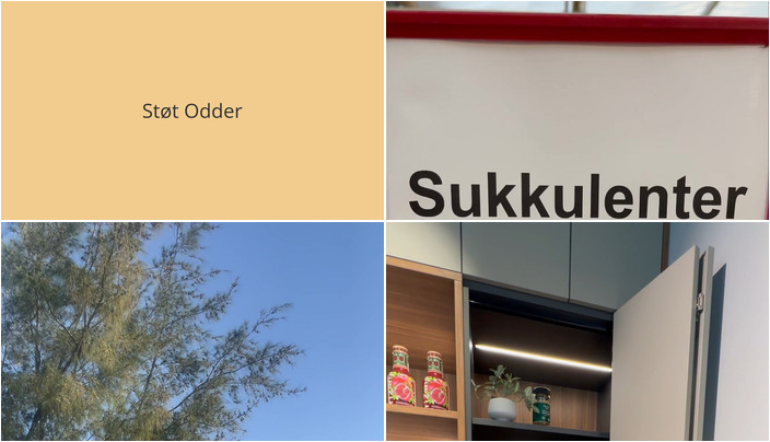 Nyt fra Midtjysk blomstermarked , Rotpunkt Køkken og StensballeGaard Golfklub