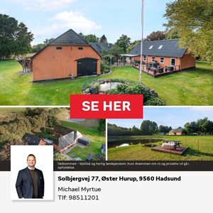 opslagsbillede